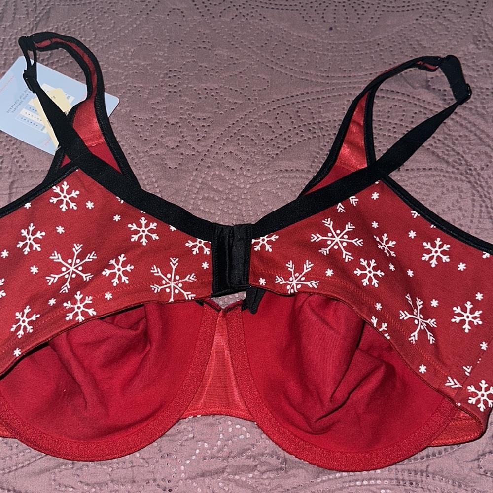 Cacique - Picture 2 of 2